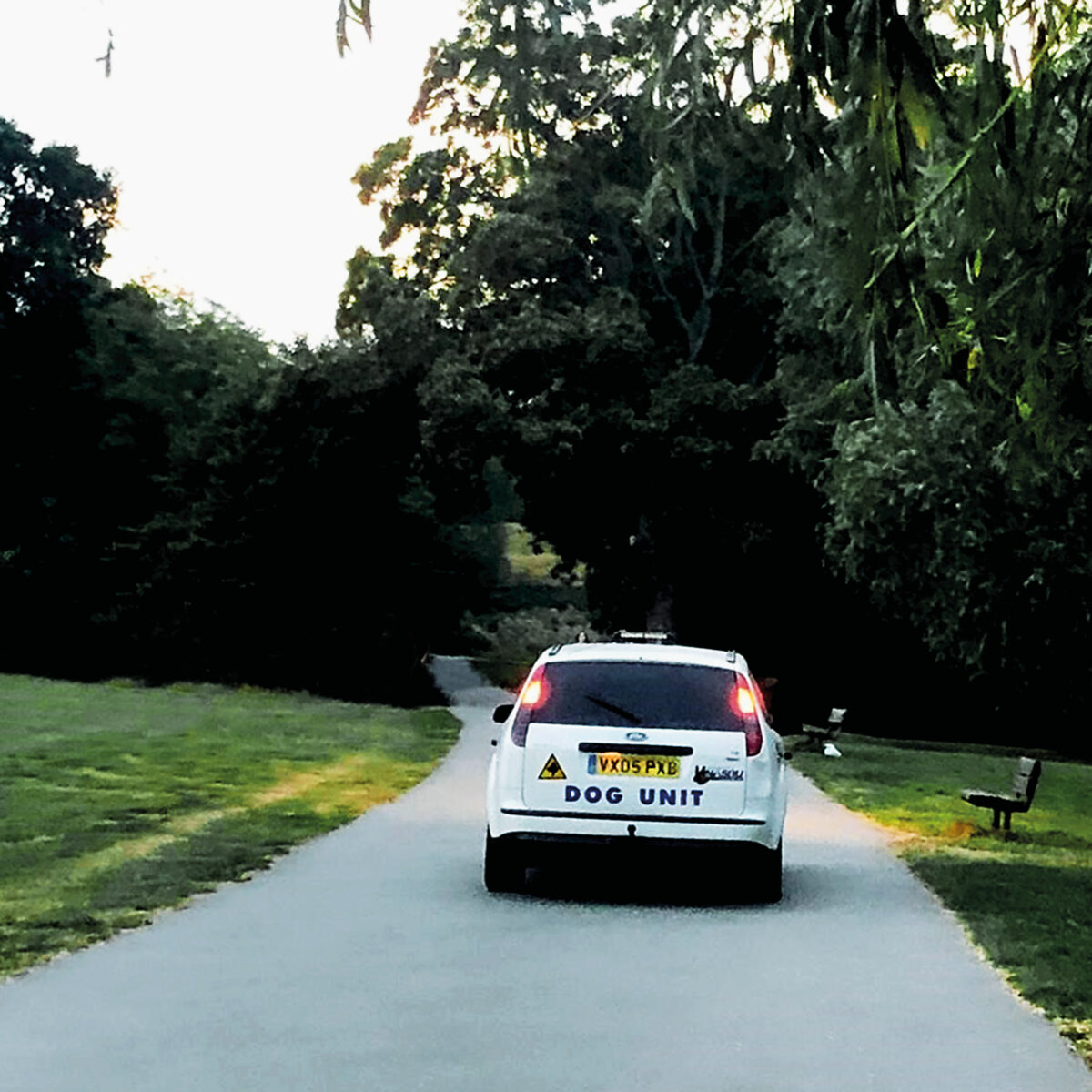 DOG UNIT — Turn Right And Right Again