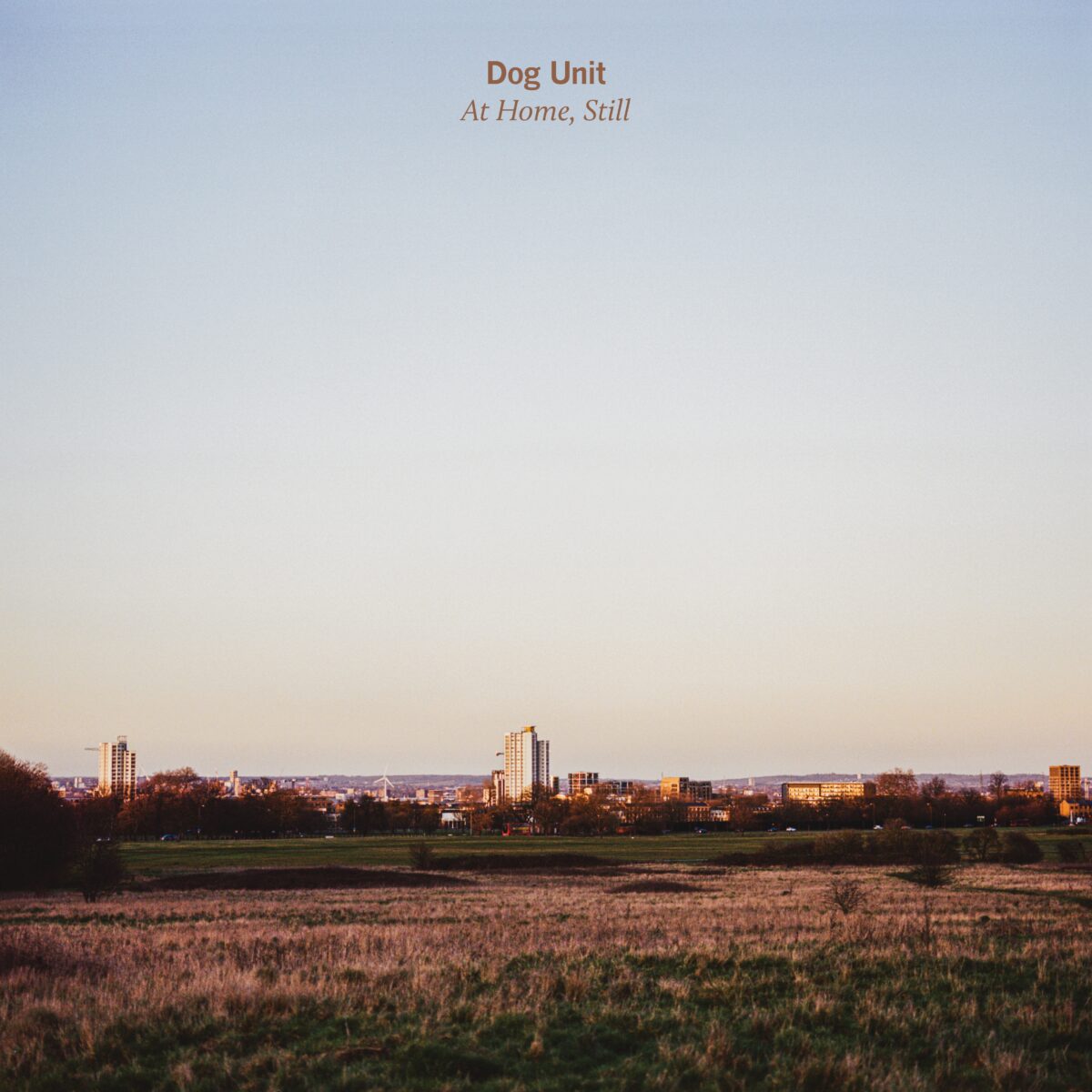 DOG UNIT — At Home, Still
